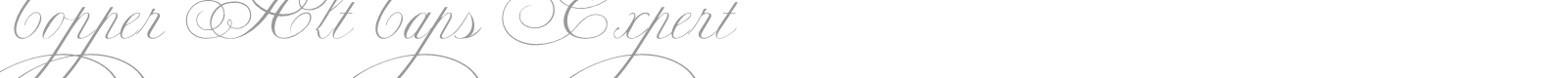 Copper Alt Caps Expert font preview
